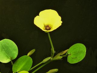 안길원님의 자유주제 · 자유게시판 작성글 사진