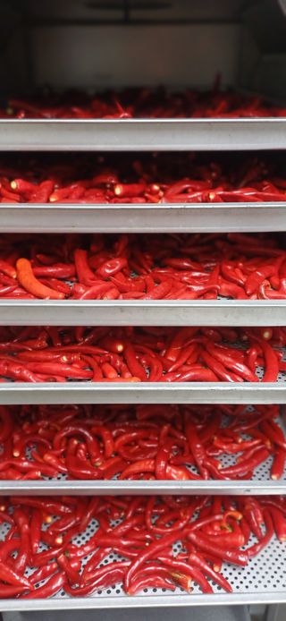 초보퍼머5도2촌준비님의 자유주제 · 자유게시판 작성글 사진