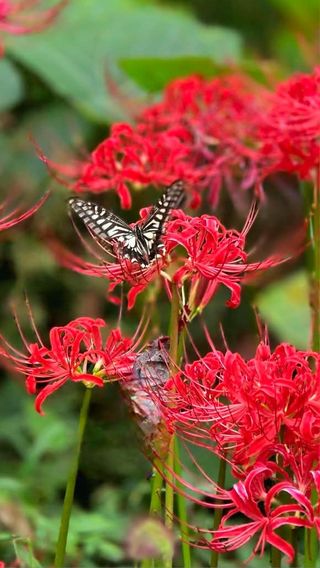 안길원님의 자유주제 · 자유게시판 작성글 사진