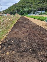 팜모닝 자유주제·자유게시판 게시글 이미지