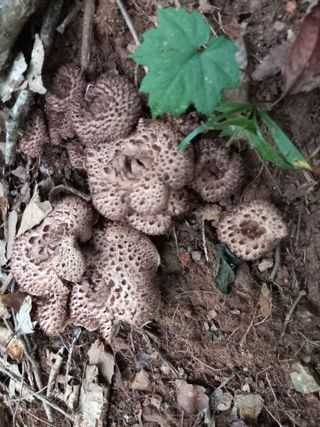 연향님의 자유주제 · 자유게시판 작성글 사진