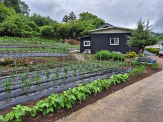 이금범님의 작성글 사진
