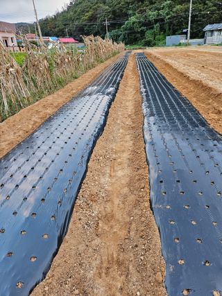 osm님의 자유주제 · 자유게시판 작성글 사진