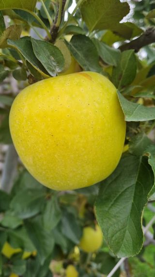 조동원님의 자유주제 · 사진전 작성글 사진