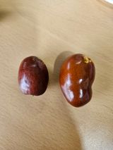 팜모닝 자유주제·자유게시판 게시글 이미지