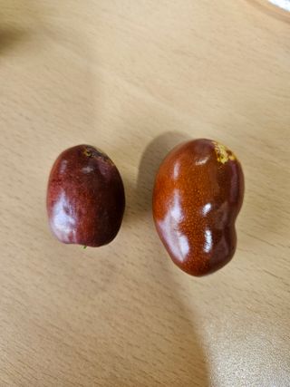 윤영진님의 자유주제 · 자유게시판 작성글 사진