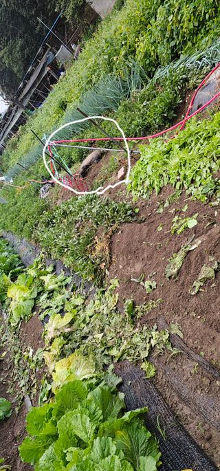 박희철님의 자유주제 · 자유게시판 작성글 사진