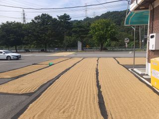 옥천서화농님의 자유주제 · 자유게시판 작성글 사진