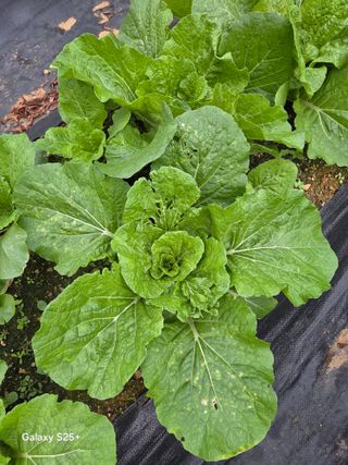 박기식 님의 자유주제 · 자유게시판 작성글 사진