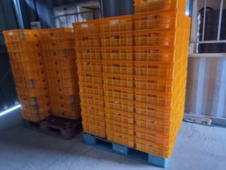 정영기대산축산농부♡님의 자유주제 · 자유게시판 작성글 사진