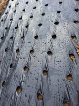 팜모닝 자유주제·자유게시판 게시글 이미지