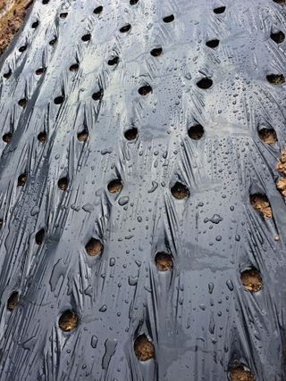 귀산촌님의 자유주제 · 자유게시판 작성글 사진