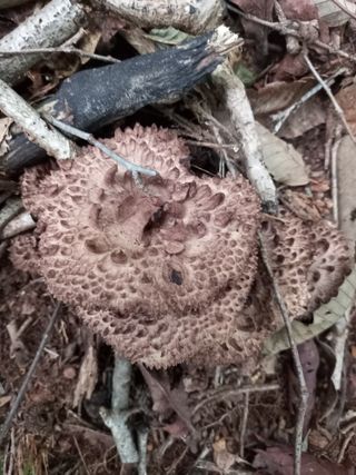 연향님의 자유주제 · 자유게시판 작성글 사진