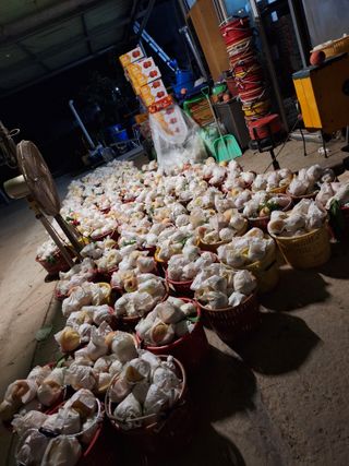 욕심내지말자님의 복숭아 · 자유게시판 작성글 사진