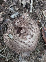 팜모닝 자유주제·자유게시판 게시글 이미지