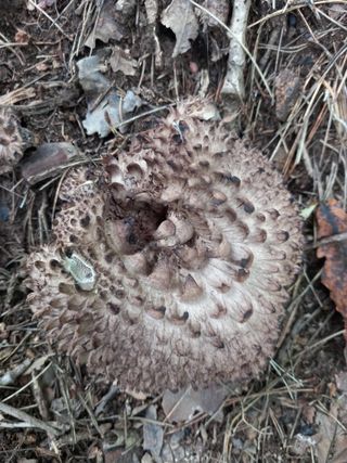 연향님의 자유주제 · 자유게시판 작성글 사진