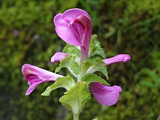 안길원님의 자유주제 · 자유게시판 작성글 사진