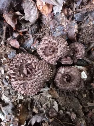 연향님의 자유주제 · 자유게시판 작성글 사진