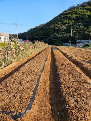 osm님의 자유주제 · 자유게시판 작성글 사진