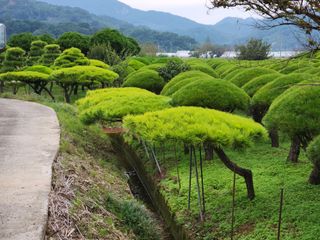 이창신님의 자유주제 · 자유게시판 작성글 사진