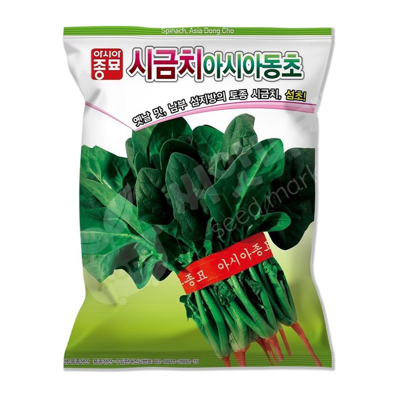 장터 상품 [아시아동초 시금치 씨앗 400g 월동시금치씨앗 종자 5봉 구매시+랜덤씨앗 1개 증정] 썸네일