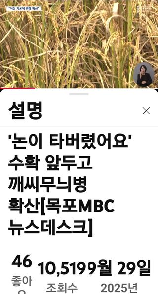 권리를위한투쟁님의 자유주제 · 자유게시판 작성글 사진