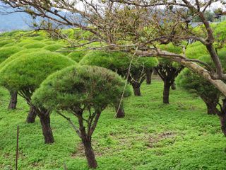 이창신님의 자유주제 · 자유게시판 작성글 사진