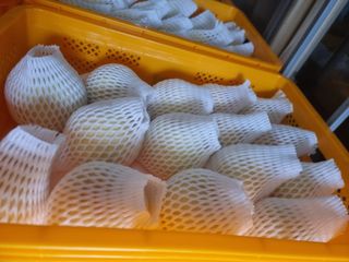 정영기대산축산농부♡님의 자유주제 · 자유게시판 작성글 사진