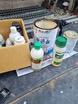 팜모닝 자유주제·자유게시판 게시글 이미지