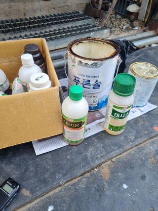 김용대님의 자유주제 · 자유게시판 작성글 사진