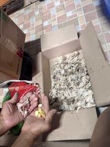 팜모닝 자유주제·자유게시판 게시글 이미지