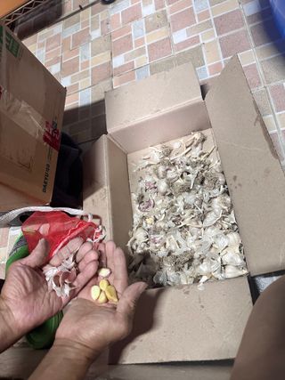 이천농부님의 자유주제 · 자유게시판 작성글 사진