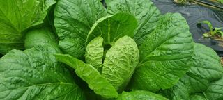 정원훈님의 자유주제 · 자유게시판 작성글 사진