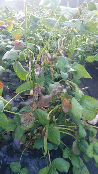 임곡농장김향중님의 자유주제 · 자유게시판 작성글 사진