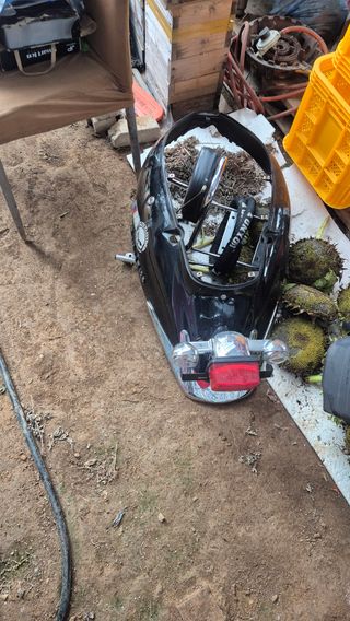 망치님의 자유주제 · 자유게시판 작성글 사진