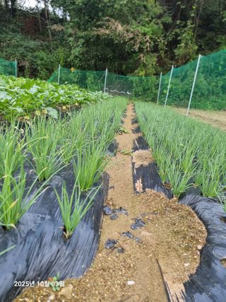 권병☆님의 자유주제 · 자유게시판 작성글 사진