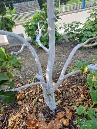 김용대님의 자유주제 · 자유게시판 작성글 사진