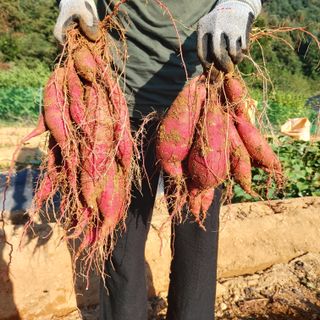 홍순원님의 작성글 사진