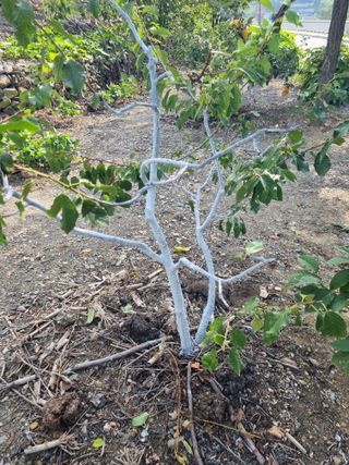 김용대님의 자유주제 · 자유게시판 작성글 사진