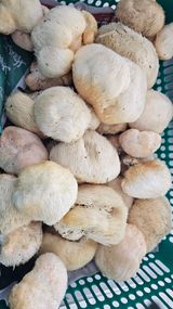 팜모닝 · 게시글 이미지