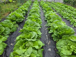 뚝방님의 자유주제 · 자유게시판 작성글 사진