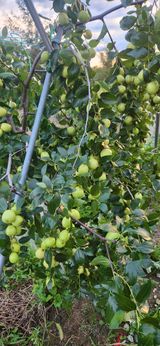 팜모닝 자유주제·자유게시판 게시글 이미지