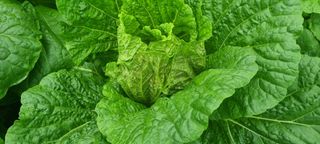 정원훈님의 자유주제 · 자유게시판 작성글 사진