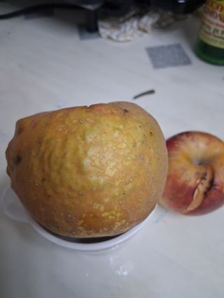 포도20173님의 자유주제 · 사진전 작성글 사진