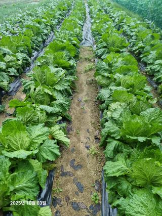 권병☆님의 자유주제 · 자유게시판 작성글 사진