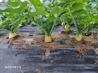 권병☆님의 자유주제 · 자유게시판 작성글 사진