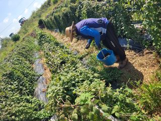 고구마11188님의 자유주제 · 자유게시판 작성글 사진