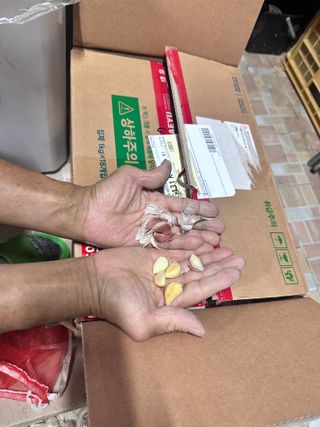 이천농부님의 자유주제 · 자유게시판 작성글 사진