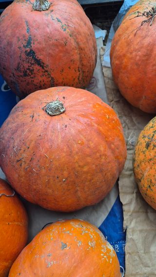 망치님의 자유주제 · 자유게시판 작성글 사진