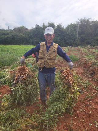 고구마11188님의 자유주제 · 자유게시판 작성글 사진